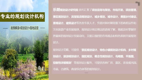 龍泉旅游景區(qū)規(guī)劃設(shè)計(jì)公司的服務(wù)內(nèi)容與費(fèi)用解析